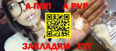 дурь Кингисепп