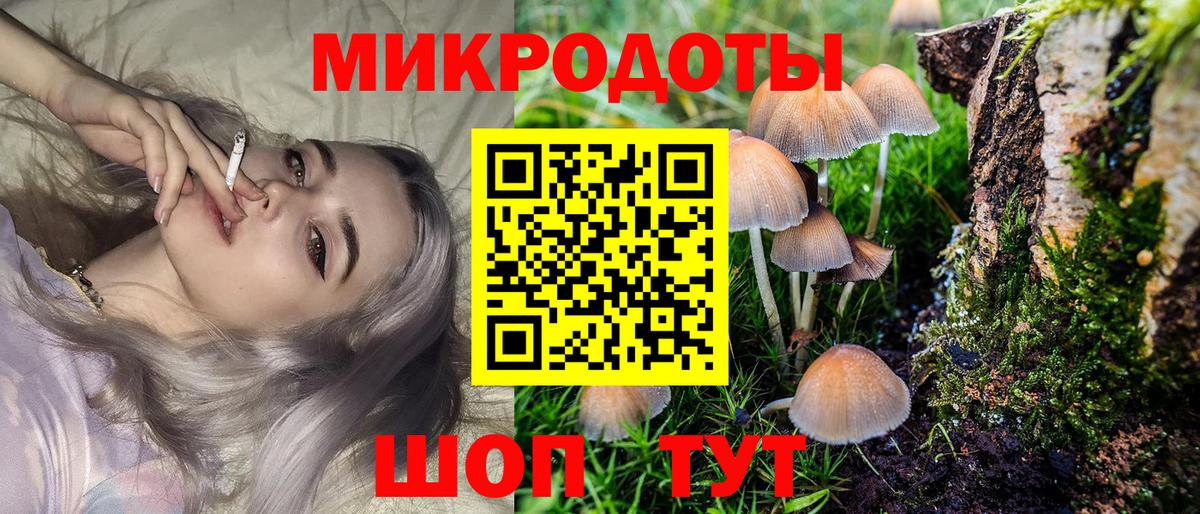 Галлюциногенные грибы Psilocybine cubensis  продажа наркотиков  Хабаровск  Вход с VPN 