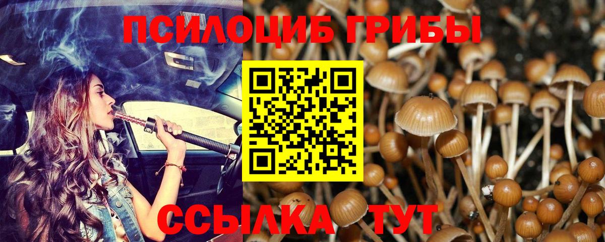 Псилоцибиновые грибы мицелий Хабаровск